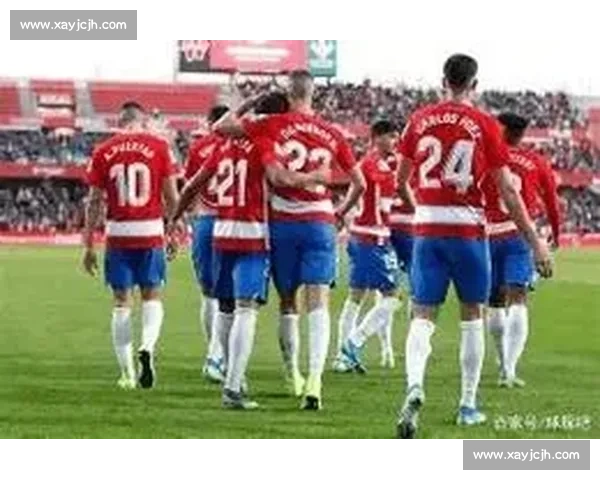 多伦多对决华盛顿焦点之战谁能掌控赛场主动权关键时刻胜负走向解析